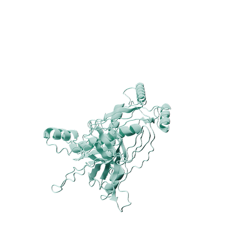 P61812-Human TGF-beta 2-3d structure.jpg